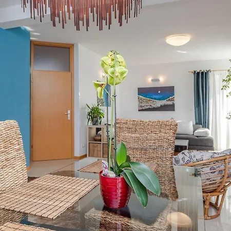 Romantic Oasis Modern Apartment *