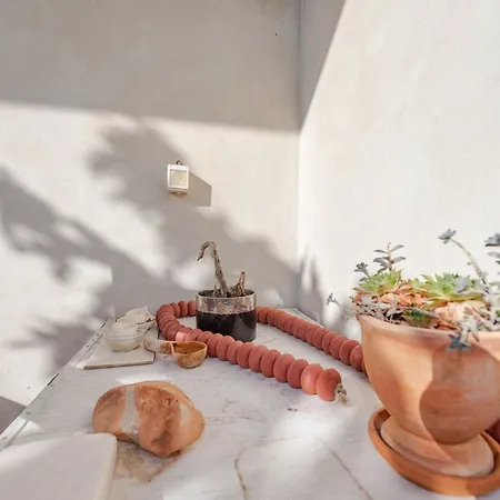 Romantic Oasis Modern