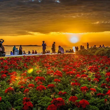 Romantic Oasis Modern Zadar